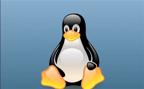 Linux